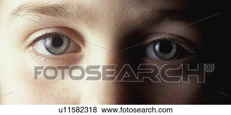 Closeup of blue grey eyes View Large Photo Image Stock Photo - Closeup of blue grey eyes. Fotosearch
