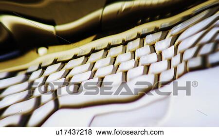 Confusion at work View Large Photo Image Stock Photo - Confusion at work. Fotosearch