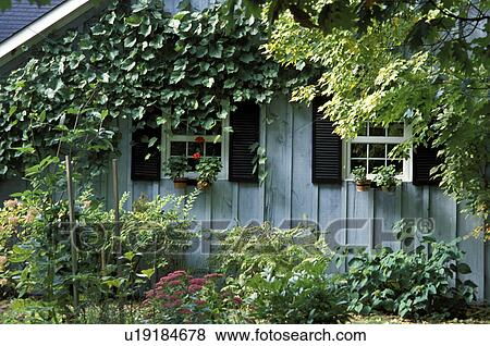 Cottage cabin View Large Photo Image Stock Photo - Cottage cabin. Fotosearch