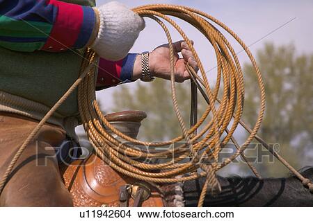 Picture - Cowboy on horseback preparing lasso. Fotosearch