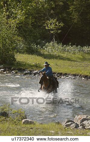 Cowboy rides horse View Large Photo Image Stock Image - Cowboy rides horse. Fotosearch