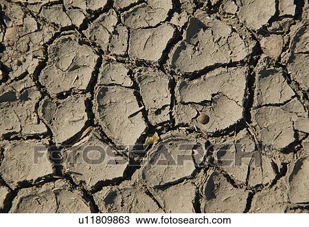 Stock Image - Cracked dirt. Fotosearch