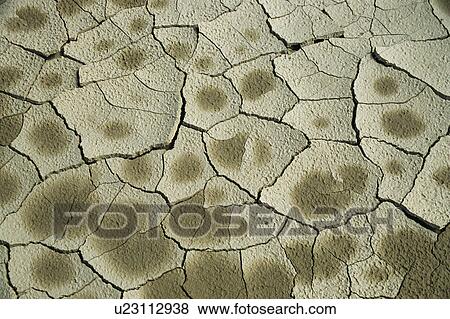 Dry cracked mud View Large Photo Image Stock Photo - Dry cracked mud. Fotosearch