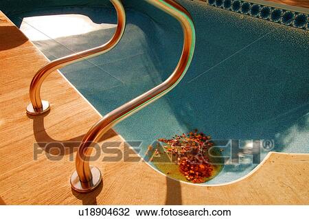 Entrance to a swimming pool View Large Photo Image Stock Image - Entrance to a swimming pool. Fotosearch