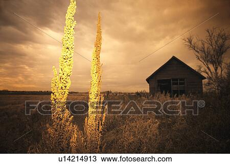 Stock Image - Farm building in field. Fotosearch