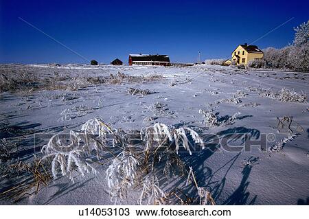 Farm homestead in winter View Large Photo Image Stock Image - Farm homestead in winter. Fotosearch