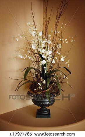 Stock Photography - Flower vase. Fotosearch