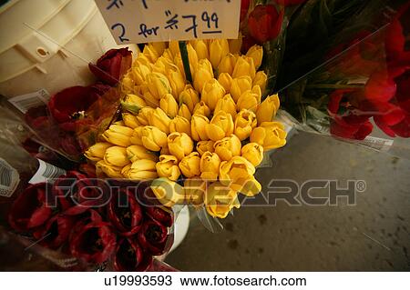 Flowers for sale View Large Photo Image Stock Image - Flowers for sale. Fotosearch