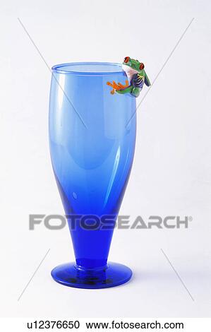 Stock Image - Frog hanging on. Fotosearch