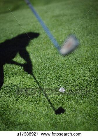 Going for the ball View Large Photo Image Stock Photo - Going for the ball. Fotosearch