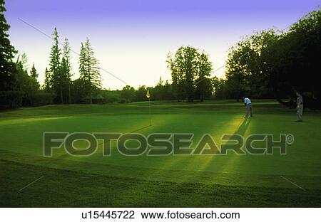 Stock Image - Golfer putting on green. Fotosearch
