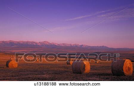 Hay bales and mountains View Large Photo Image Stock Photo - Hay bales and mountains. Fotosearch