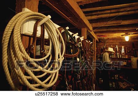 Stock Photo - In a barn. Fotosearch