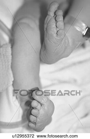 Legs and feet of newborn baby View Large Photo Image Stock Image - Legs and feet of newborn baby. Fotosearch