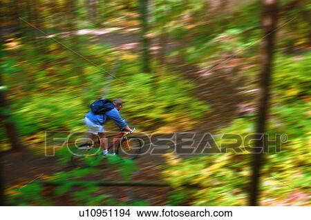 Man cycling down forest trail View Large Photo Image Picture - Man cycling down forest trail. Fotosearch
