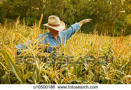 Stock Photograph - Man in field. Fotosearch