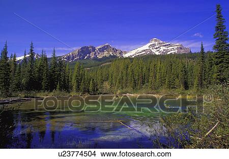 Picture - Mountain creek. Fotosearch