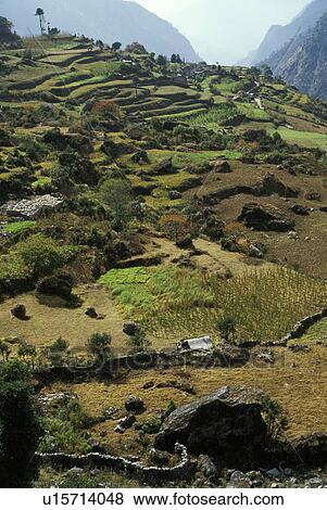 Mountainous agricultural landscape View Large Photo Image Stock Photo - Mountainous agricultural landscape. Fotosearch