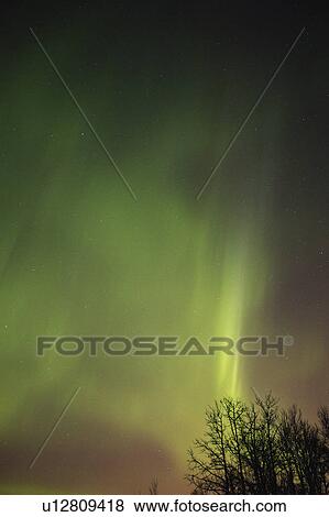 Northern lights Alberta Canada View Large Photo Image Stock Photo - Northern lights Alberta Canada. Fotosearch