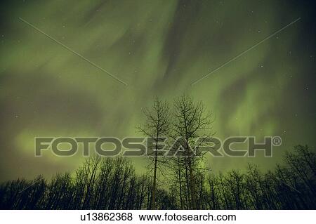 Stock Photo - Northern lights Alberta Canada. Fotosearch