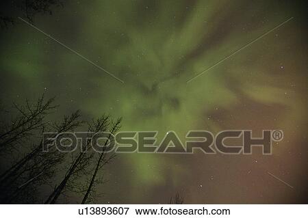 Northern lights Alberta Canada View Large Photo Image Stock Photo - Northern lights Alberta Canada. Fotosearch