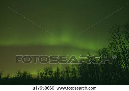 Stock Photograph - Northern lights Alberta Canada. Fotosearch