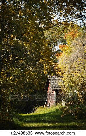 Stock Image - Old wooden shed in trees. Fotosearch