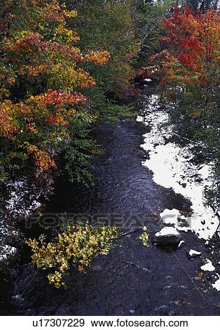 Stock Photo - Overhead view of autumn trees and a flowing river. Fotosearch