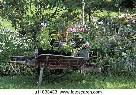 Pretty cottage garden View Large Photo Image Stock Image - Pretty cottage garden. Fotosearch