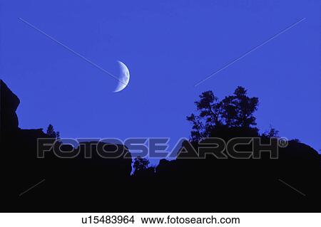 Quarter moon above silhouette of trees View Large Photo Image Picture - Quarter moon above silhouette of trees. Fotosearch