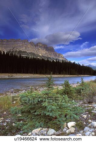 Picture - River with mountains. Fotosearch