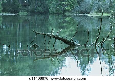 Scenic woodland lake View Large Photo Image Stock Photograph - Scenic woodland lake. Fotosearch