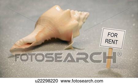 Stock Image - Seashell for rent. Fotosearch