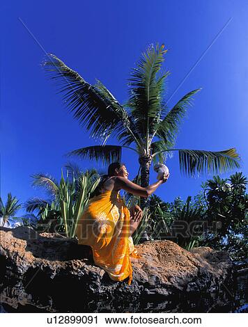 Stock Image - Shell find. Fotosearch