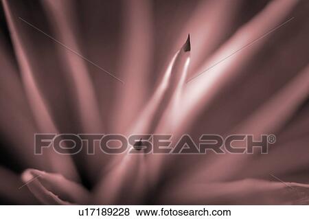 Soft pinky shapes View Large Photo Image Stock Photo - Soft pinky shapes. Fotosearch