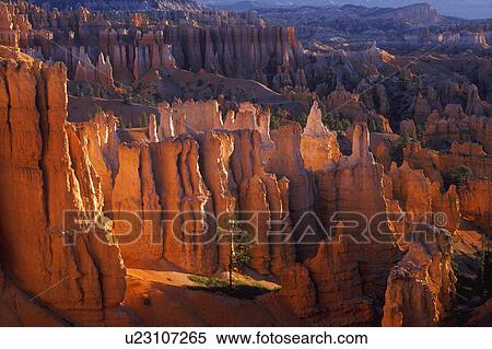 Steep canyon with tree in front View Large Photo Image Stock Photography - Steep canyon with tree in front. Fotosearch