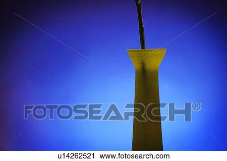 Stem in a vase View Large Photo Image Stock Image - Stem in a vase. Fotosearch