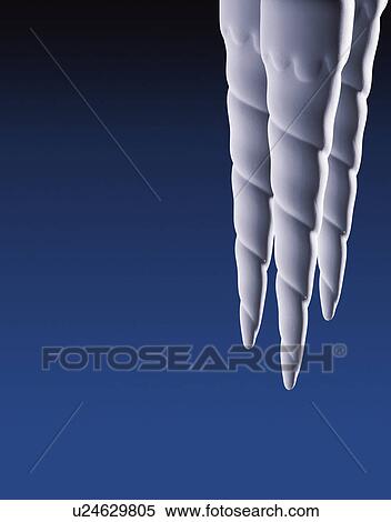 Stock Photography - Stylized icicles. Fotosearch