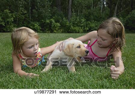 Two young girls with puppy View Large Photo Image Stock Image - Two young girls with puppy. Fotosearch