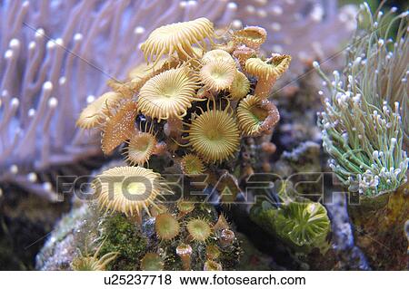 Under the water View Large Photo Image Stock Photo - Under the water. Fotosearch