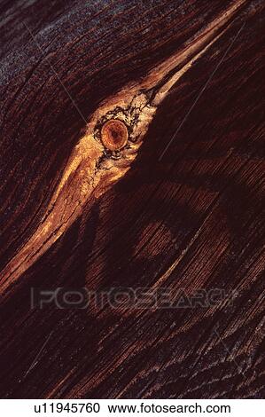 Stock Image - Unusual shaped knot in piece of wood. Fotosearch