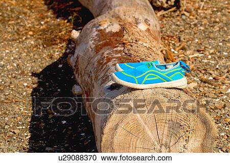 Stock Image - Water shoes on log. Fotosearch