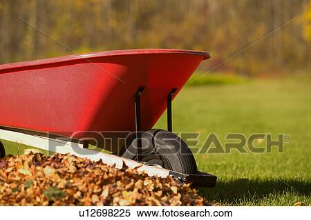 Stock Photography - Wheel Barrel beside pile of leaves. Fotosearch