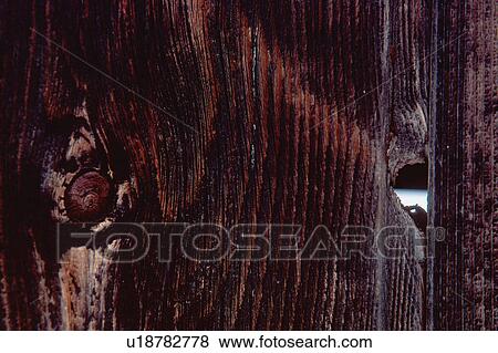 Stock Photo - Wood grain with knot. Fotosearch