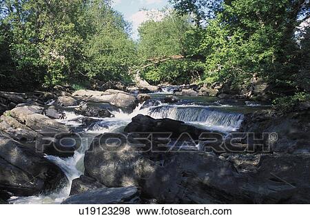 Stock Photo - Woodland river. Fotosearch