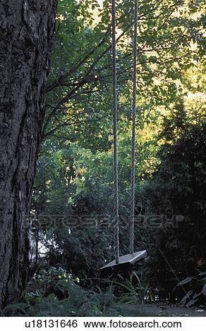 A private woodland swing View Large Photo Image Stock Photograph - A private woodland swing. Fotosearch