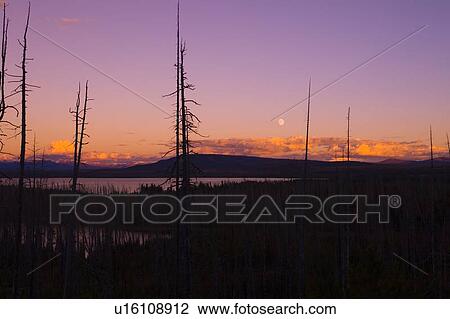 A view of a lake against the rising moon View Large Photo Image Stock Image - A view of a lake against the rising moon. Fotosearch