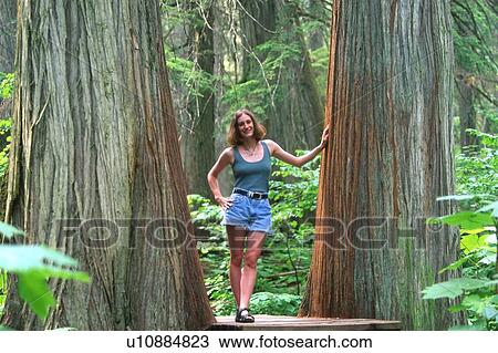 Stock Image - Giant Cedars & Young Woman. Fotosearch