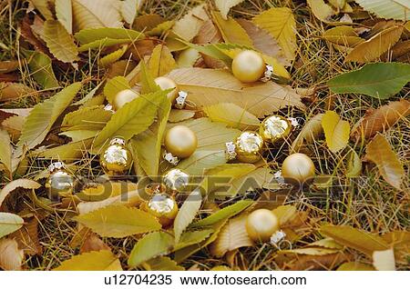 Golden balls among fallen leaves View Large Photo Image Stock Photography - Golden balls among fallen leaves. Fotosearch