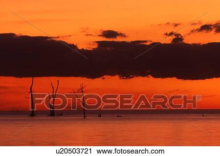 Pelee Island Nature Reserve at Sunset View Large Photo Image Stock Image - Pelee Island Nature Reserve at Sunset. Fotosearch
